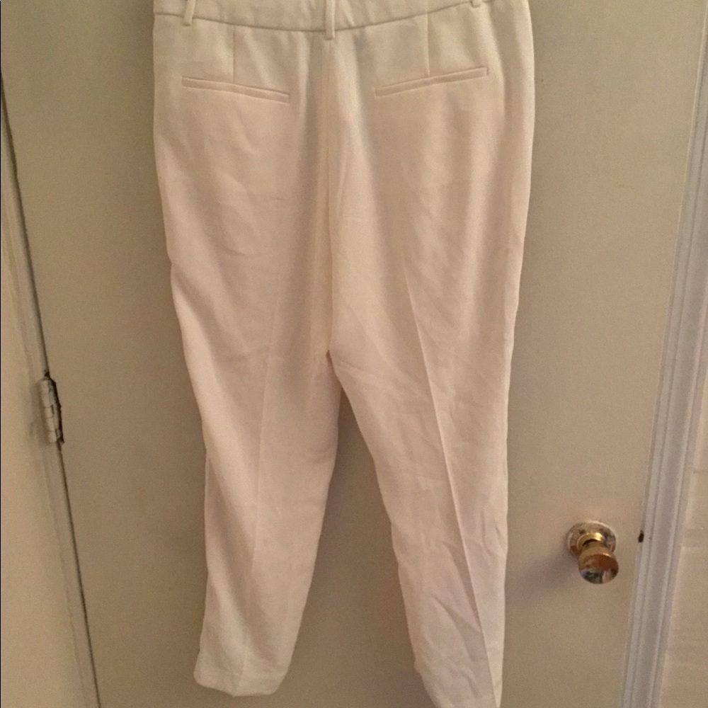 Fully Lined Polyester Pants - image 4